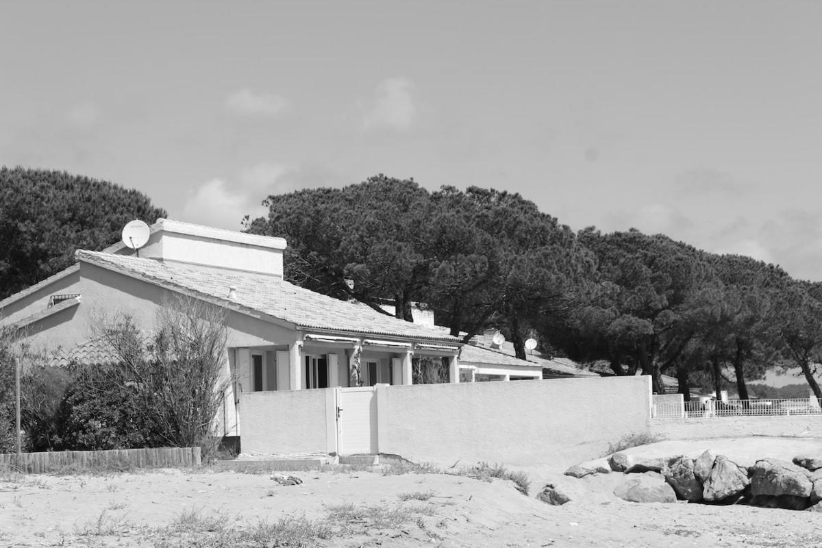 Bord de mer, pieds dans l'eau, vue panoramique Villa San-Nicolao Exteriör bild