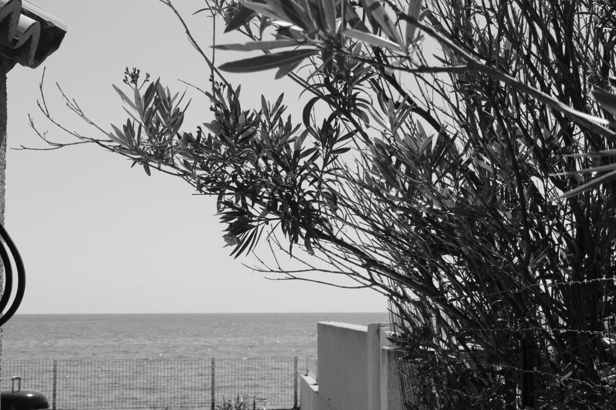 Bord de mer, pieds dans l'eau, vue panoramique Villa San-Nicolao Exteriör bild