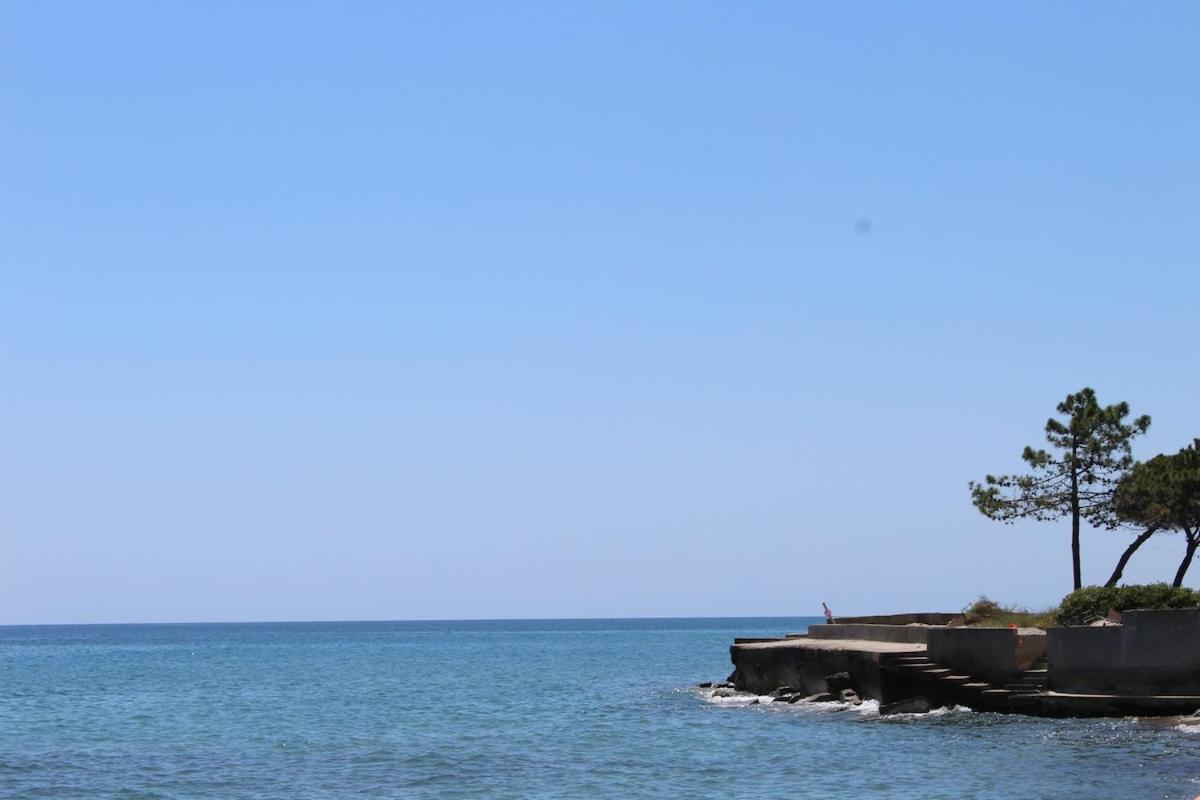 Bord de mer, pieds dans l'eau, vue panoramique Villa San-Nicolao Exteriör bild