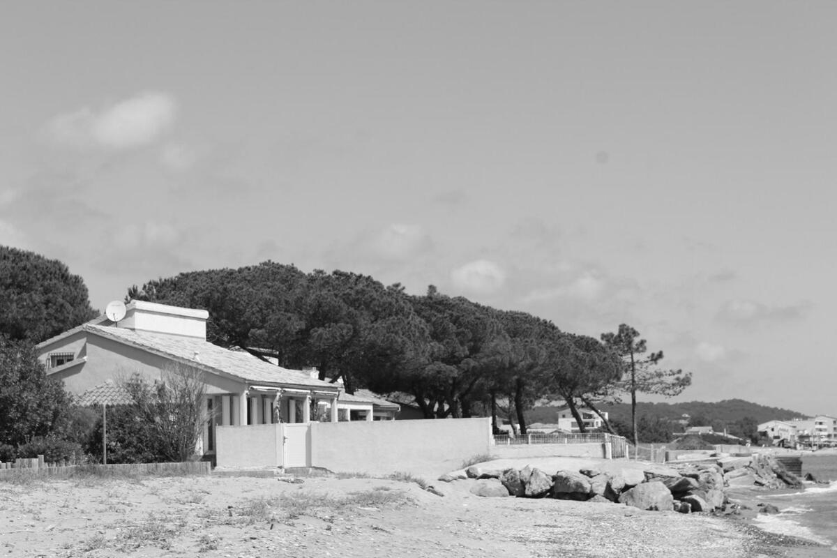 Bord de mer, pieds dans l'eau, vue panoramique Villa San-Nicolao Exteriör bild