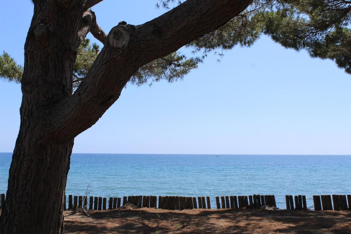 Bord de mer, pieds dans l'eau, vue panoramique Villa San-Nicolao Exteriör bild